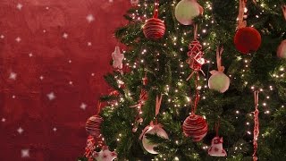 How To Decorate a Christmas Tree [upl. by Barth]