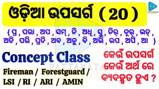 Odia Grammar Upasarga Concept Class ଓଡ଼ିଆ ଉପସର୍ଗUpasarga Concept Class by PATTANAYAKEDUCATION [upl. by Ycniuqed]