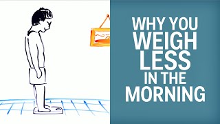 Why You Weigh Less In The Morning Than At Night [upl. by Naihs823]