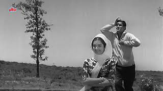 हुस्न चला कुछ ऐसी चाल  Bluffmaster 1963  Shammi Kapoor  Saira Banu Rafi amp Latas Timeless Duet [upl. by Alaham472]