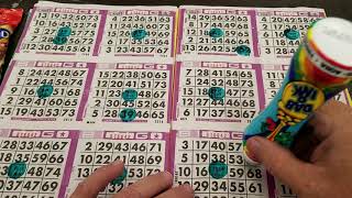 Bingo Games [upl. by Millford]