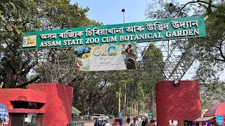 Guwahati Zoo Sahuan [upl. by Enelyw]