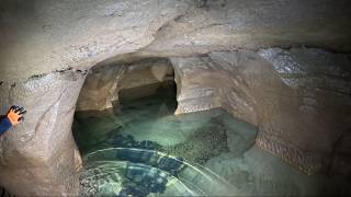 Massive Albino Fish Found Deep In A River Cave [upl. by Atinet248]