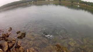 Cape cod canal fishing [upl. by Mchugh235]