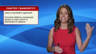 2024 GLm CPA Review REG Lecture Video  6 6 1 Bankruptcy Liquidations [upl. by Ahseinod]