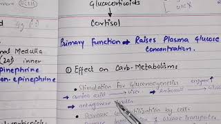 Physiological functions of adrenocortical hormones part 2 functions of cortisol [upl. by Enymsaj575]