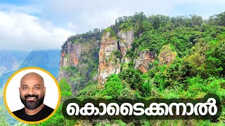 കൊടൈക്കനാലിൽ കണ്ടിരിക്കേണ്ട സ്ഥലങ്ങൾ  Mustvisit tourist places in Kodaikanal  Travel Guide [upl. by Niggem]