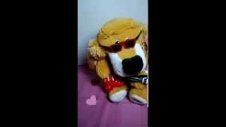 Animated Plush Dog valentine SINGS Elvis Presley Hound Dog guitar lights DanDee [upl. by Johna]