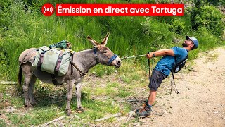 Rediff Il a voyagé avec un âne traversé lIslande à pieds  Parlons voyage 3 avec Tortuga [upl. by Alonso]