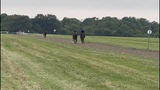 Chindwin far side working in Newmarket on Saturday [upl. by Philina110]