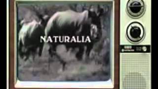 Intro Naturalia [upl. by Ameluz]