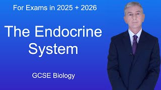 GCSE Biology Revision quotThe Endocrine Systemquot [upl. by Ennayoj]