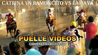 CATRINA VS RAMONCITO VS LA BAYA [upl. by Elwaine]