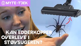 Overlever edderkopper støvsugeren [upl. by Euqinomahs377]