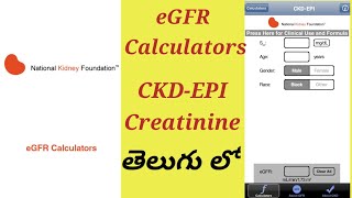 e GFR Equation test Process In Telugu  CKDEPI Creatinine [upl. by Leler]