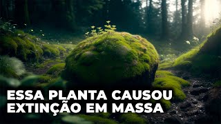 O Segredo Por Trás da Primeira Extinção em Massa na Terra [upl. by Hugibert363]