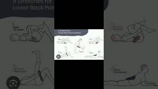 Yoga asanas for lower back painexerciseathome yogaforgoodhealth youtubeshorts yogalife981 [upl. by Assetnoc955]