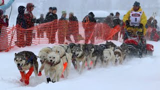 2020 Iditarod Official Start  Willow Alaska [upl. by Ayikur470]