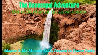 Havasupai amp The Grand Canyon 4K 2024 Part 3 The Mooney Falls Descent to Beaver Falls [upl. by Xineohp]