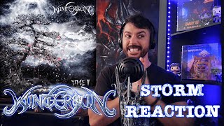 Wintersun  Storm First Reaction Time II album [upl. by Daffodil]