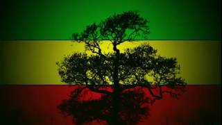 Reggae Roots en Español Mix Vol11 Rastafaba CR [upl. by Annahsad]