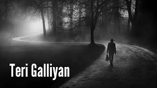 Teri Galiyan Slowed  Reverb Ek Villain  Total Lofi Song Channel  Textaudio [upl. by Zannini]