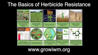 Introduction to the Basics of Herbicide Resistance [upl. by Dragoon851]