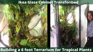 Ikea Greenhouse Cabinet 6 Foot Terrarium for Tropical Plants  The OG the 1st one ever built [upl. by Esahc]