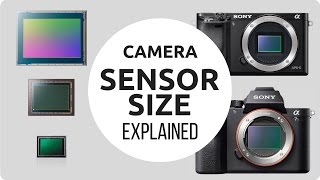 Photoelectric Sensor Explained with Practical Examples [upl. by Conlee163]