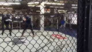 Pro Sparring at Tristar Gym [upl. by Aklim]