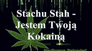 Stachu Stah  Jestem Twoją Kokainą [upl. by Ojiram367]