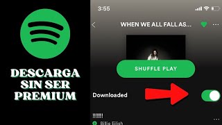 ✅ Cómo DESCARGAR Playlist en SPOTIFY sin ser Premium  Tutorial Paso a Paso [upl. by Sascha]