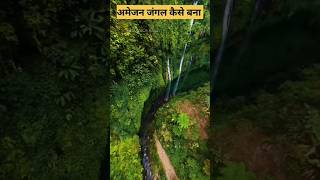 अमेजन जंगल बना कैसे।।🤔 Amazon jungal ka Rahasya। fact of Amazon rainforest shorts Amazon jungal [upl. by Dagny]