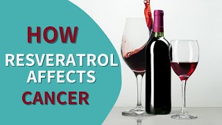 RESVERATROL MYSTERY How it AFFECTS Cancer Cells [upl. by Bough]