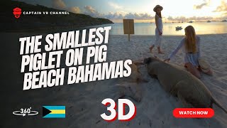 5 8 19 Pig Island day1 pt2 2844 YT [upl. by Bollay]