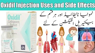 Oxidil Injection 250 mg Uses and side effects in Urdu Hindi Ceftriaxone 250 mg Injection benefits [upl. by Eirellam613]