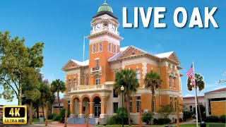 Live Oak Florida  Driving Through Live Oak [upl. by Keri]