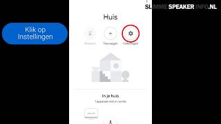 Google Home op Nederlands instellen [upl. by Maer364]