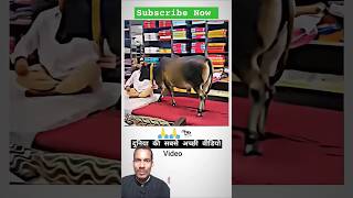 Duniya Ki Sabse acchi video gay gaumata shortfeed guru motivation shorts maa [upl. by Scales]