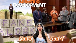 Arrested Development REACTION  5x13 amp 5x14 [upl. by Ahsikahs]