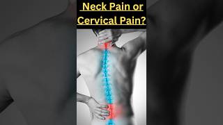 Cervical Spondylosis  Neck Pain 😨  Neck Pain Relief shorts trending neckpain cervicalpain [upl. by Field]