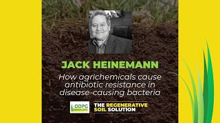 Prof Jack Heinemann  How Agrichemicals Cause Antibiotic Resistance in DiseaseCausing Bacteria [upl. by Inat731]