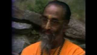 New Heaven New Earth An Interview of SwamiChinmayananda ChinmayaMission Gurudev [upl. by Namien]