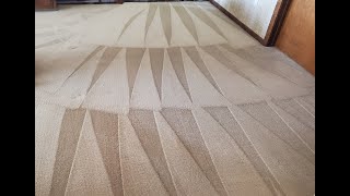 Thick Plush Carpets Getting Cleaned [upl. by Spanos]