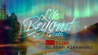 Life Beyond Death  NDE Files  Dr Eben Alexander [upl. by Adnawahs109]