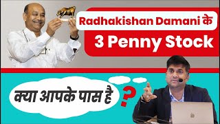 Radhakishan Damani के 3 Penny Stocks  क्या आपके पास हैं  RK Damanis Portfolio Share News [upl. by Erlene234]