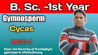 CycasGymnospermmost important MCQ B Sc first year tgt pgt biology [upl. by Dorey]