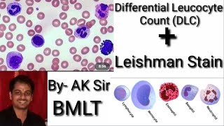 Differential leucocyte count Leishman Stain [upl. by Larual87]