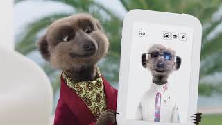 Compare the Meerkat  Advert 106 [upl. by Xer748]