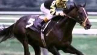 Top Ten greatest Racehorses of all time read description [upl. by Ahcurb896]